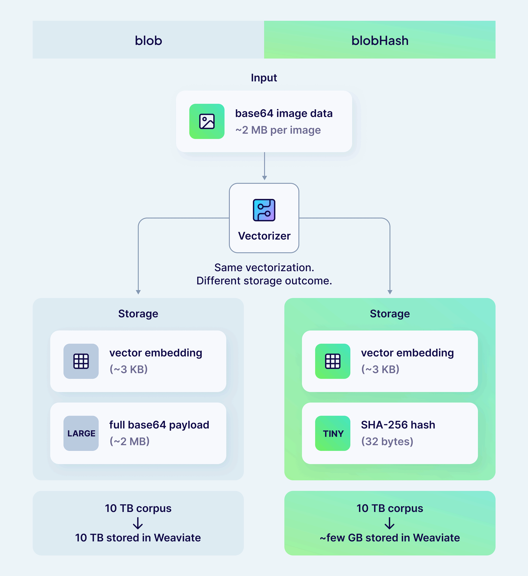 Side-by-side diagram comparing blob and blobHash. Both data types send raw bytes through the same vectorizer, but blob persists the full base64 payload while blobHash retains only a 32-byte SHA-256 hash — shrinking a 10 TB image corpus to a few gigabytes stored inside Weaviate.
