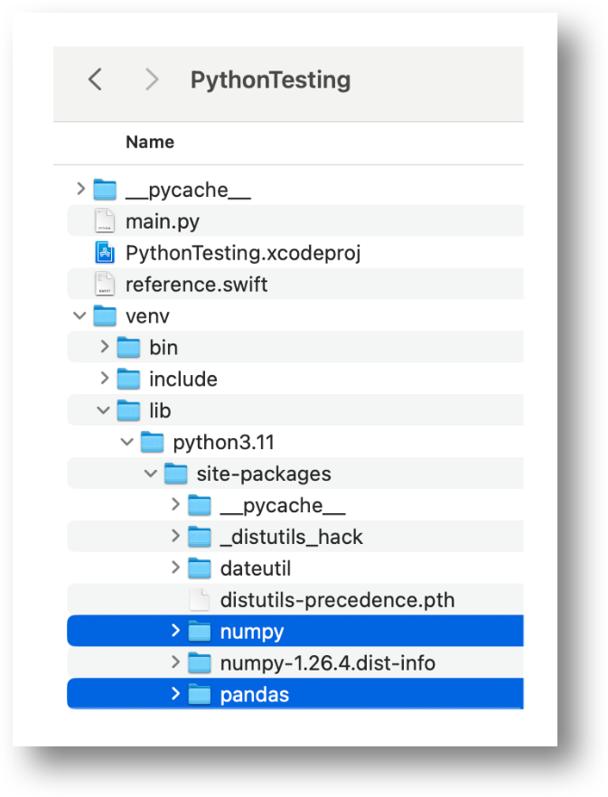 Virtual Environment Setup