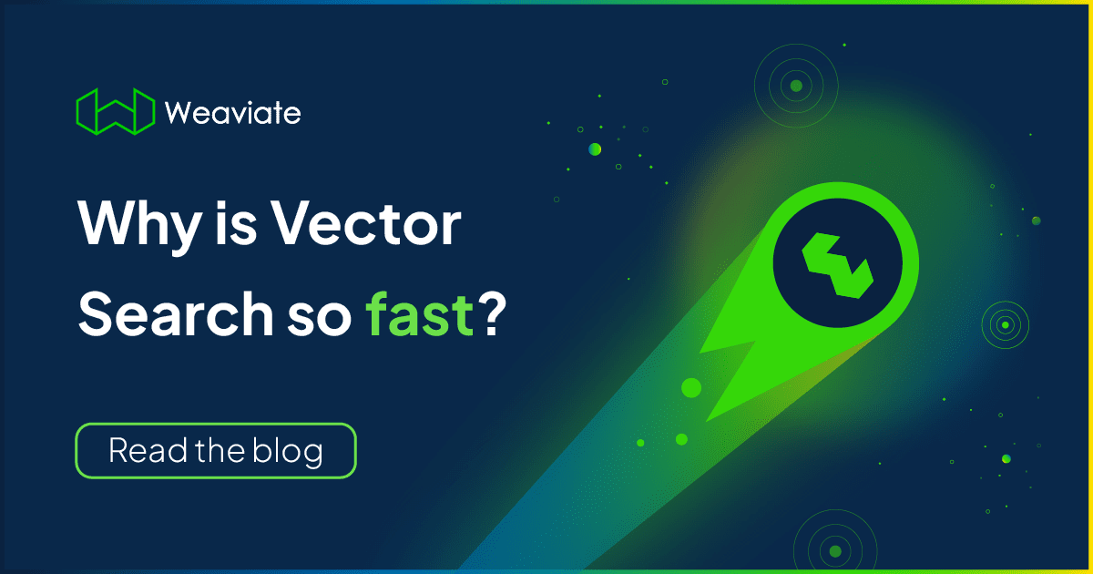 Why is Vector Search so fast?