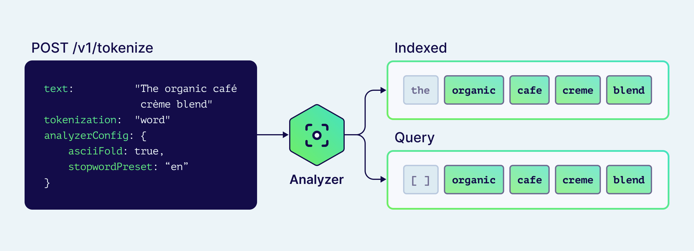 Weaviate /v1/tokenize endpoint flow: text input, analyzer, indexed vs query tokens