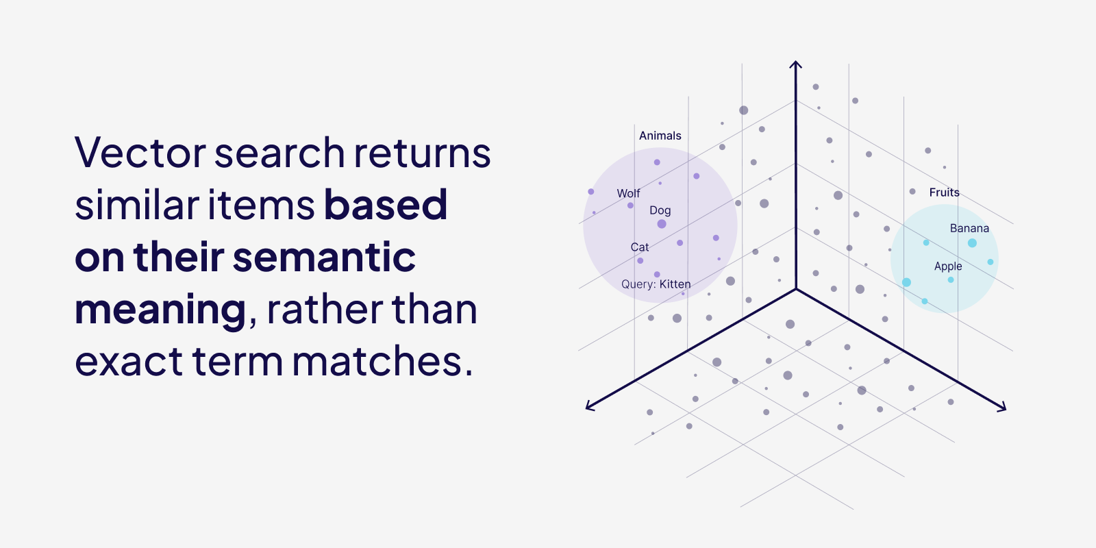 Vector Search