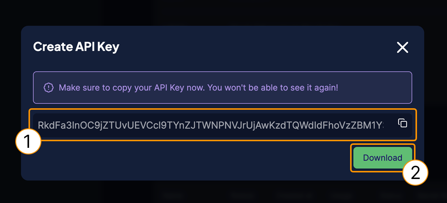 Save your API key