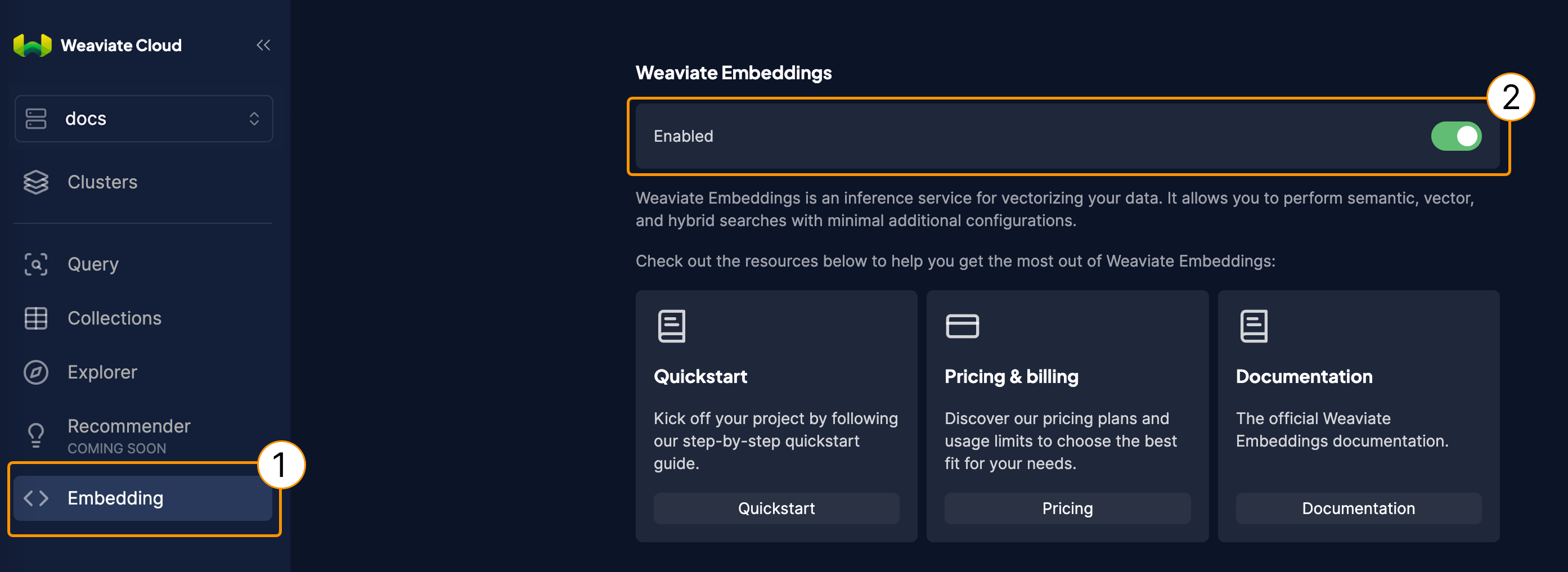 Disable Weaviate Embeddings globally